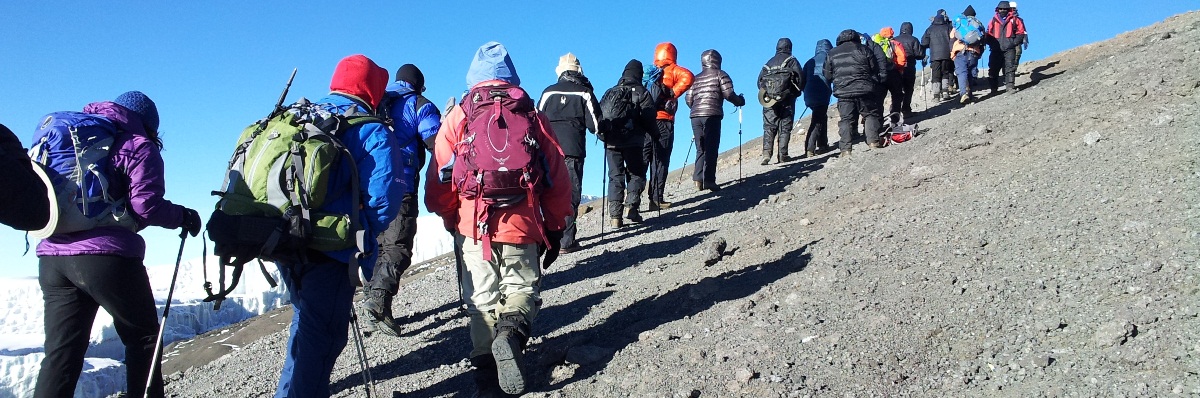 group-join-kilimanjaro-safari.jpg