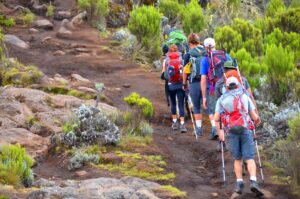 Kilimanjaro climb Marangu Route 6Days 