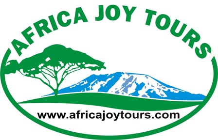 Africa Joy Tours Logo
