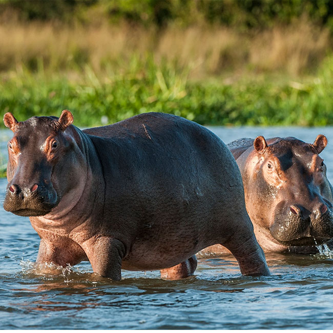 3-Day Taste of Tanzania Safari