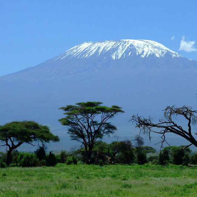 8 Days Lemosho Route Kilimanjaro