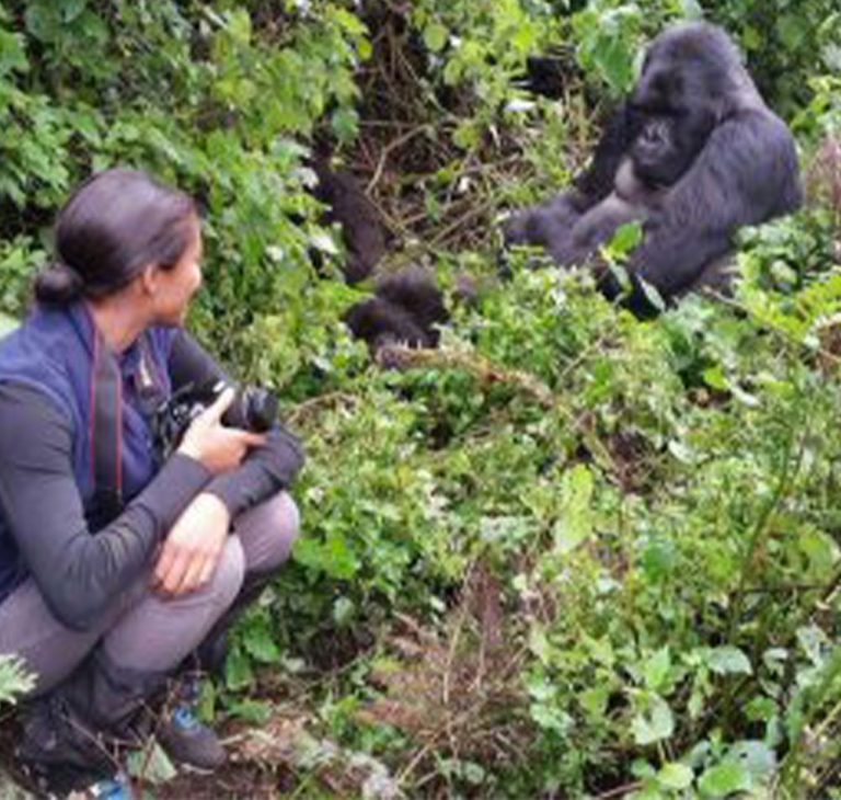 12 Day Uganda safaris