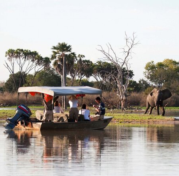 4 Days Safari in Nyerere National Park - Game Drive and Boat Trip