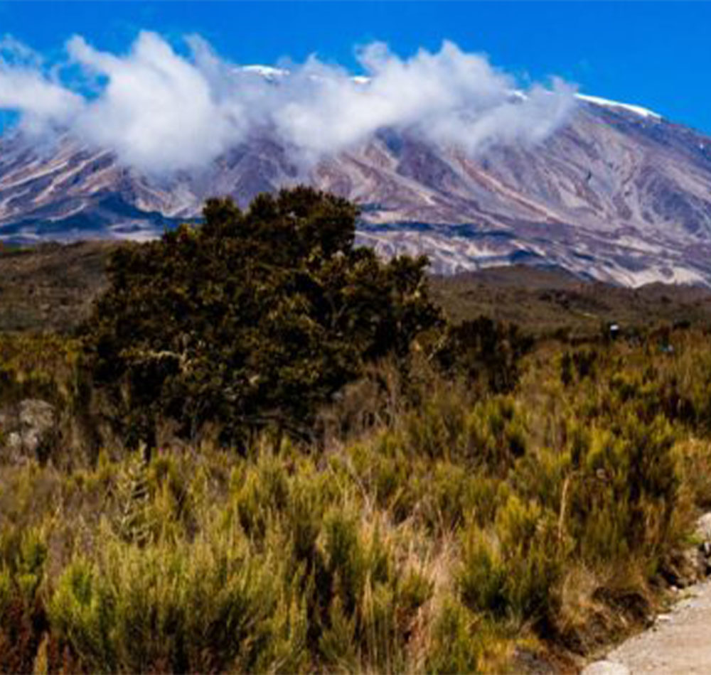Climbing Kilimanjaro Frequently Asked Questions