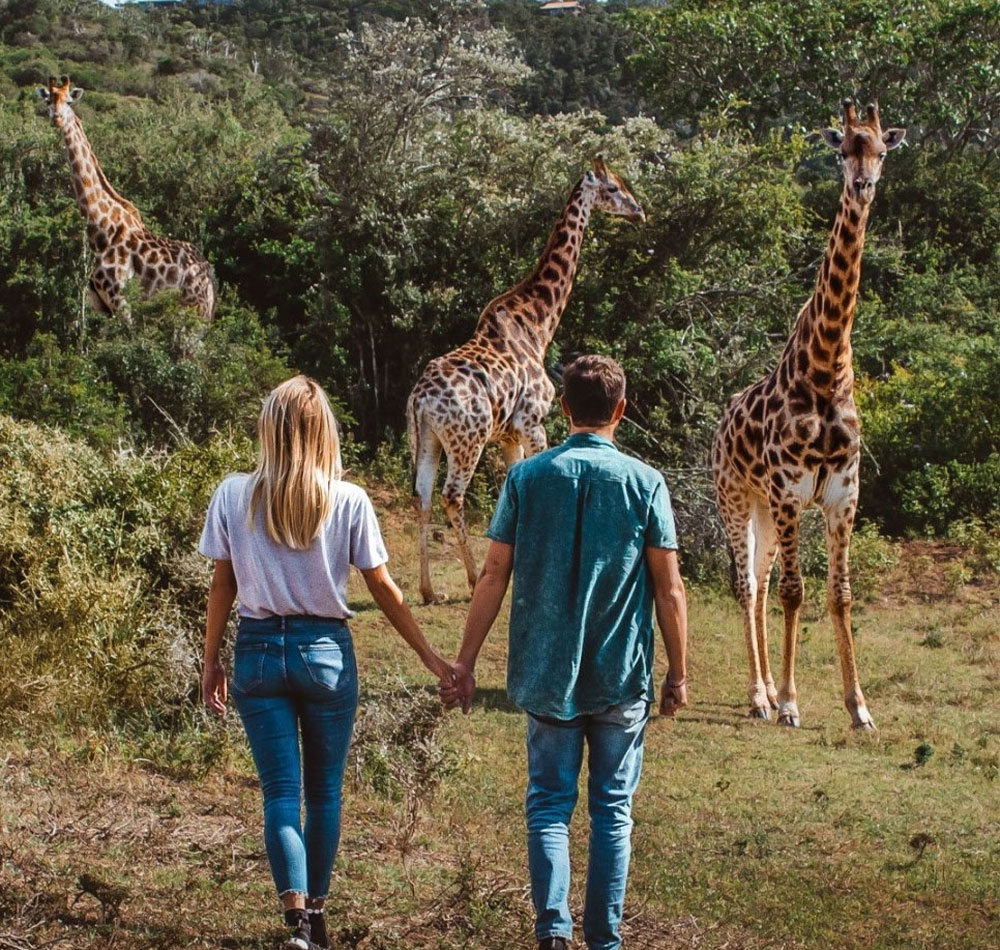 Day Trip Arusha National Park