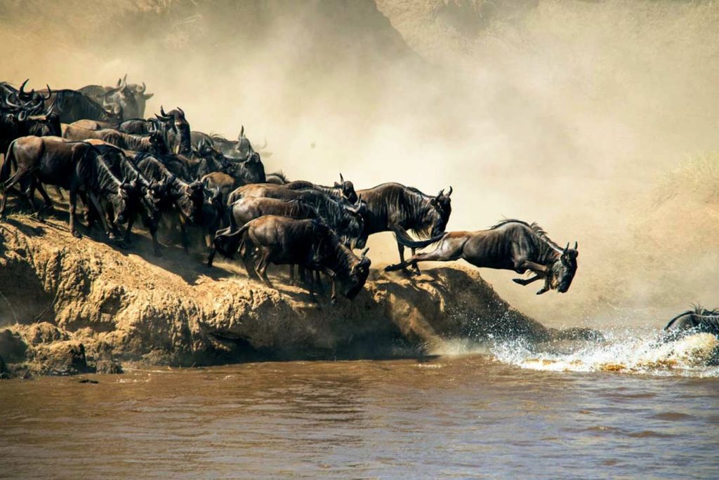 5-Days-Serengeti-Wildebeest-Migration..