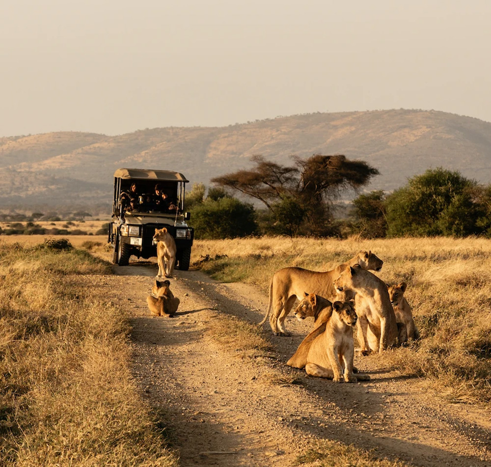 9 Days Hidden Gem Of the Kenya Wilderness Safari.