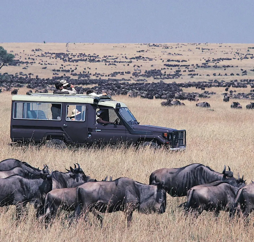 8 Days - Masai- Mara- Central- Serengeti -& Ngorongoro -Crater