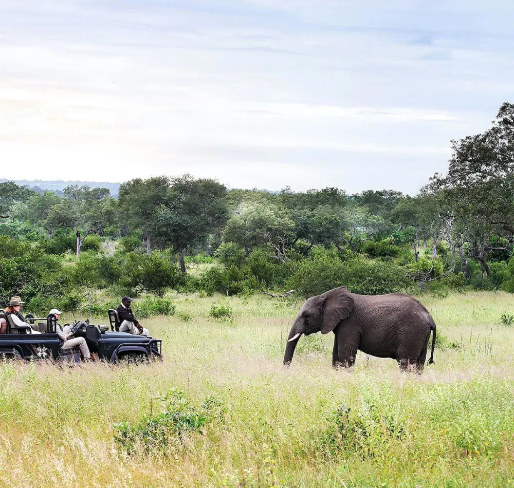 9 Day -Luxury -Sabi -Sand -Safari