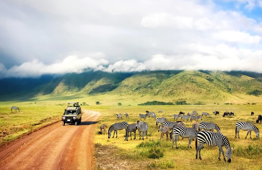 Kenya and Tanzania Safaris