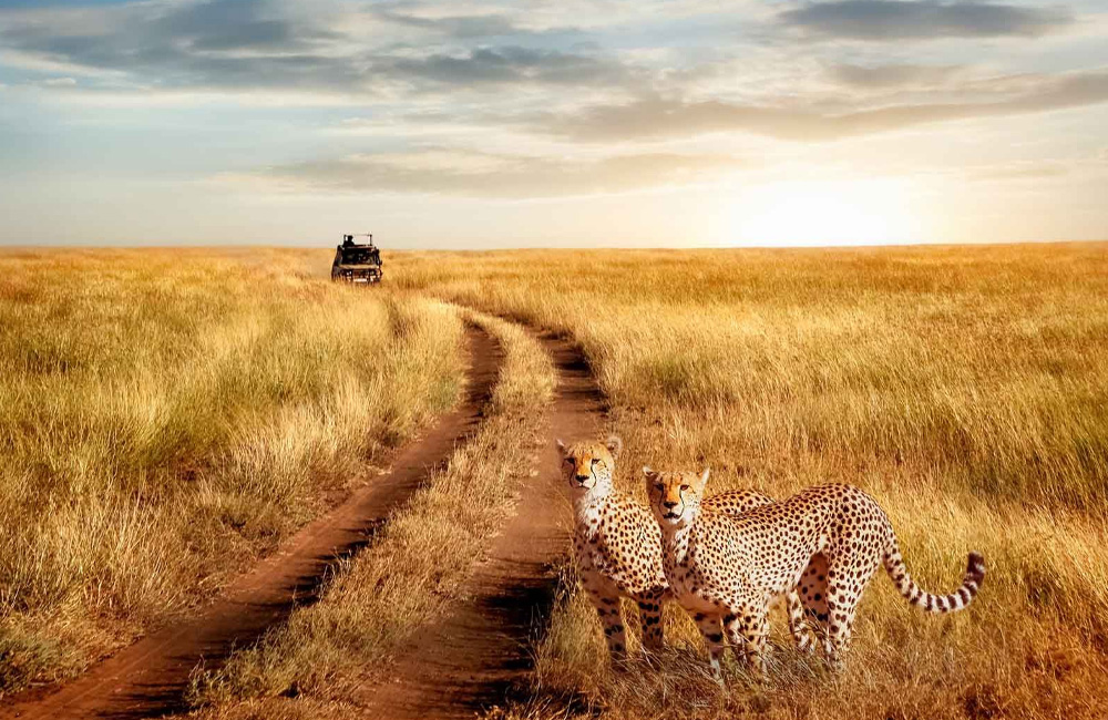 Kenya tours