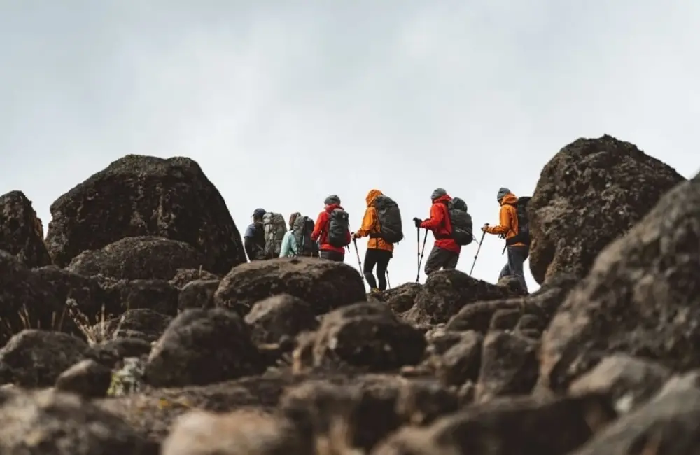 Kilimanjaro Hiking