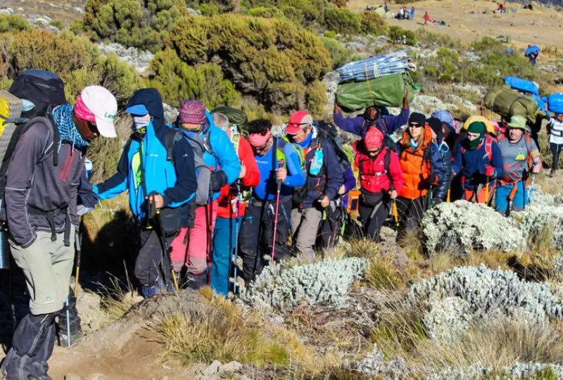 Climbing Kilimanjaro via Marangu Route