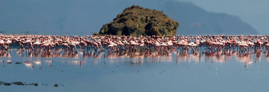 Lake Natron