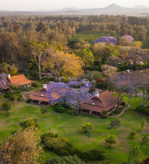 11 Days Lodge Safari Kenya and Tanzania