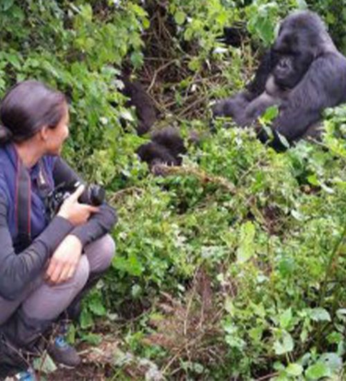 12 Day Uganda safaris