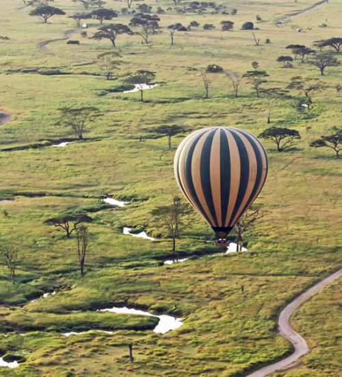 12-days-tanzania-and-kenya-adventure-safari.
