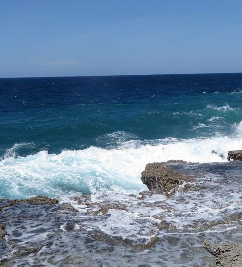 13-Days-Southern-Safari-and-Kilwa-Beach 13 Days Southern Safari and Kilwa Beach