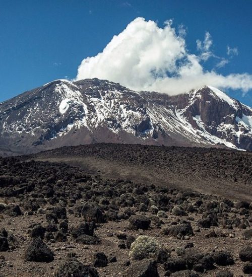 6 Days Mount Kilimanjaro Umbwe Route