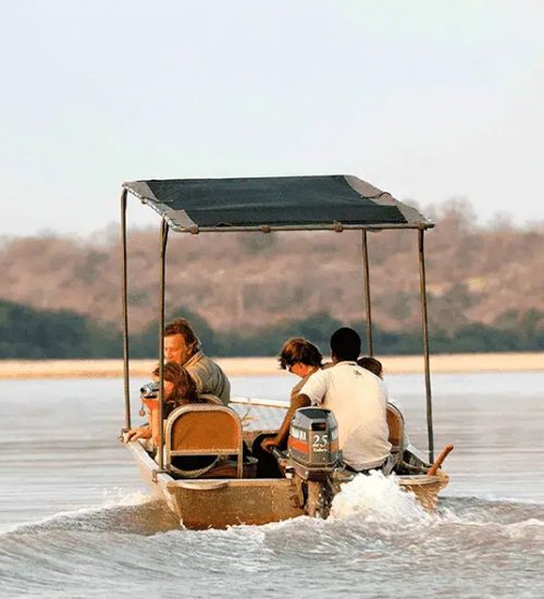 3 Days Nyerere National Park Boat and Game Drive