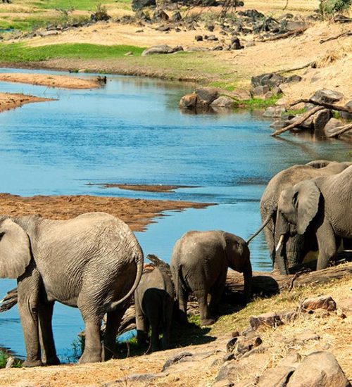 3 Days Wonderful Safari in Mikumi National Park 3 Days Wonderful Safari in Mikumi National Park