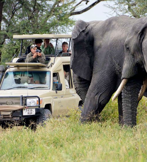 5 Day Camping Safari