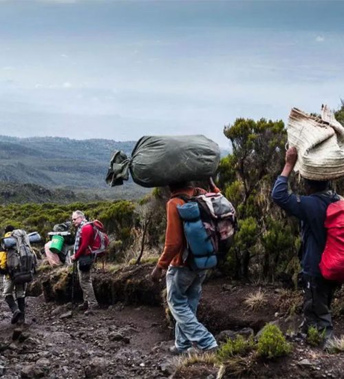 7 Days Mount Kilimanjaro Umbwe Route