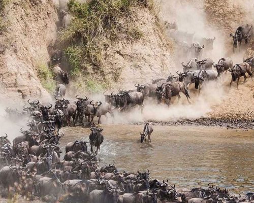 7-Days-Serengeti-Wildebeest-Migration