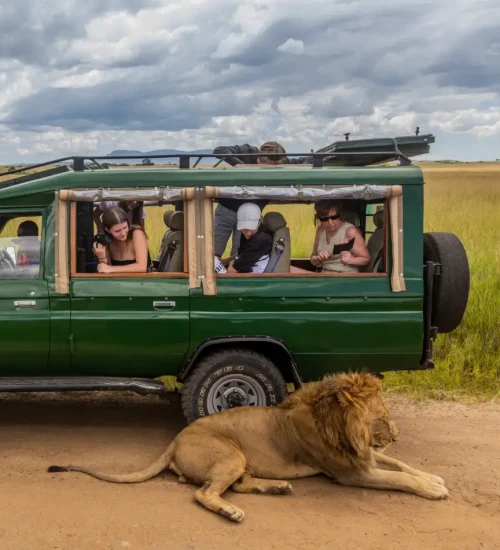 7 Day -Camping -Safari