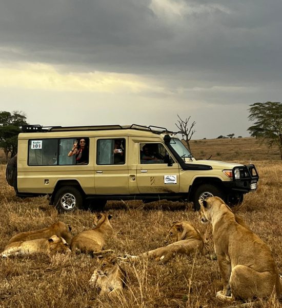 WhatsApp Image 2025-10-28 at 08.29.15 WhatsApp Image 2025-10-28 at 08.29.15